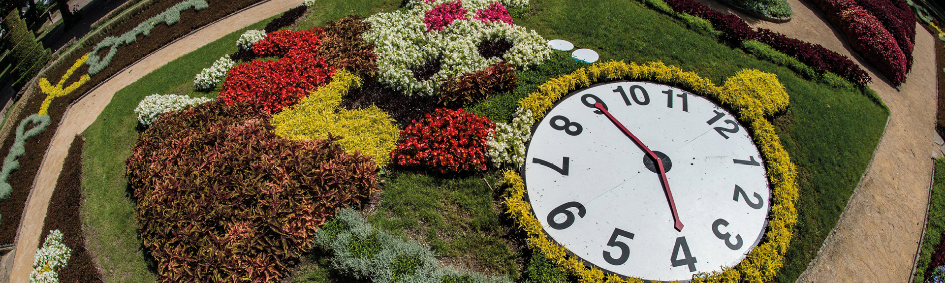 Parterre de Fleurs