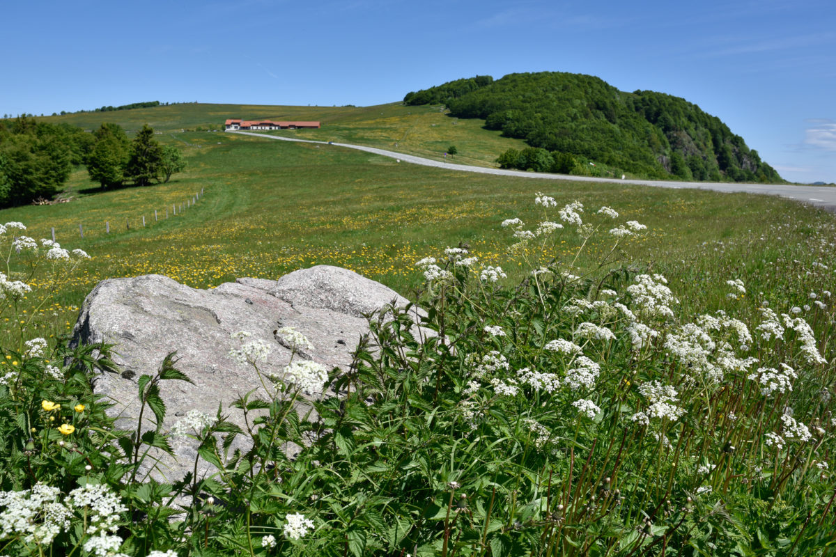 Ein Ideales Reiseziel