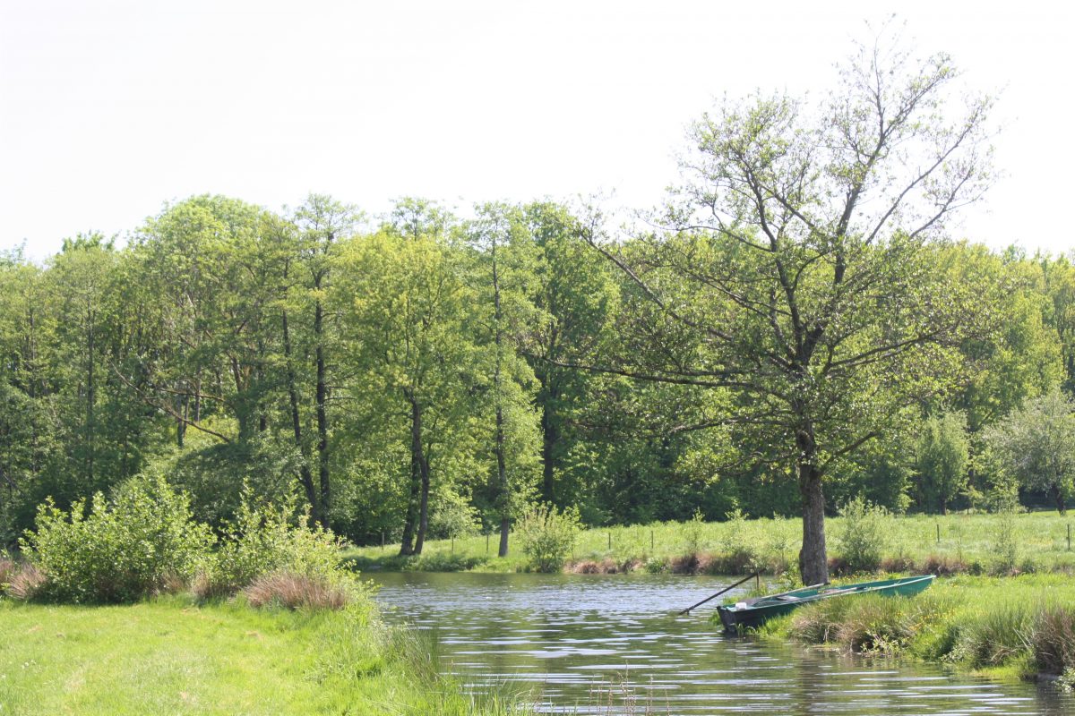 Photo-couverture-site-2