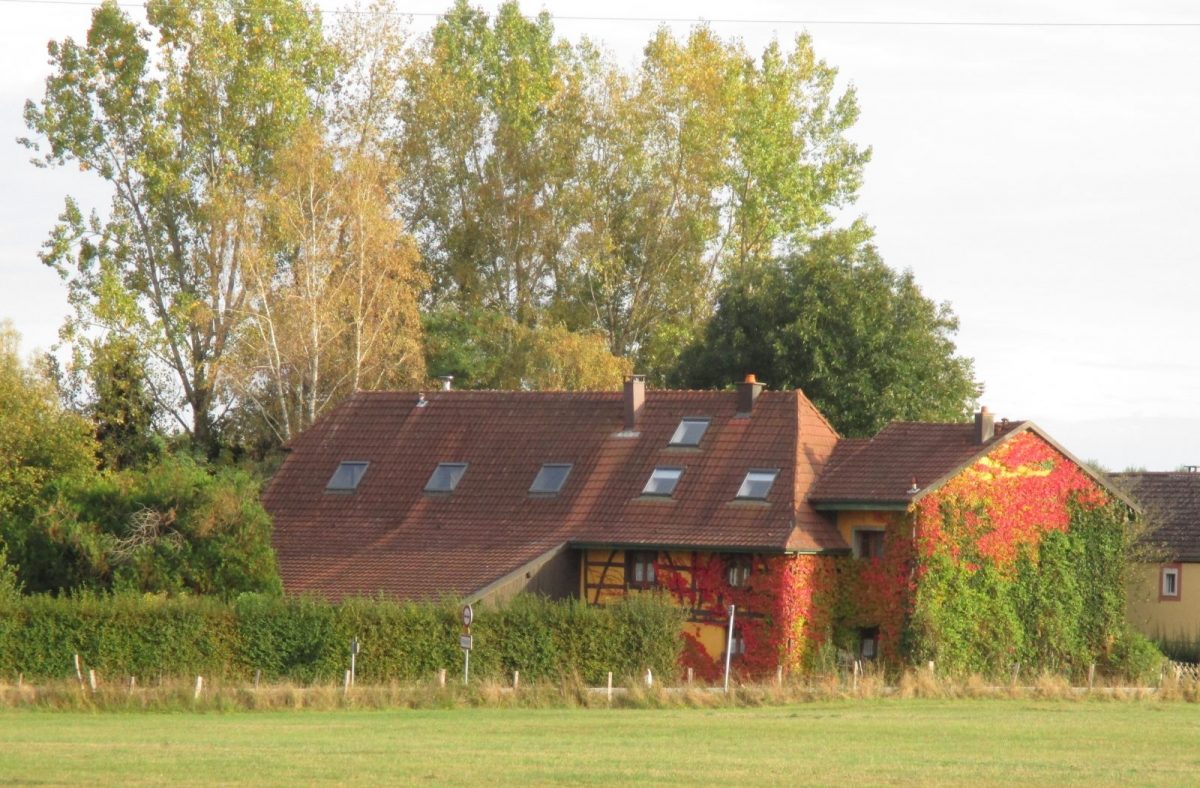 la-maison-en-automne