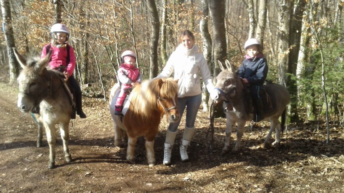 FERME EQUESTRE DE LA FORGE_3