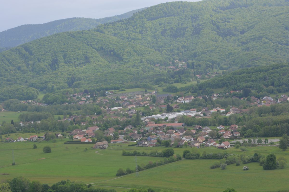 DSC_0672