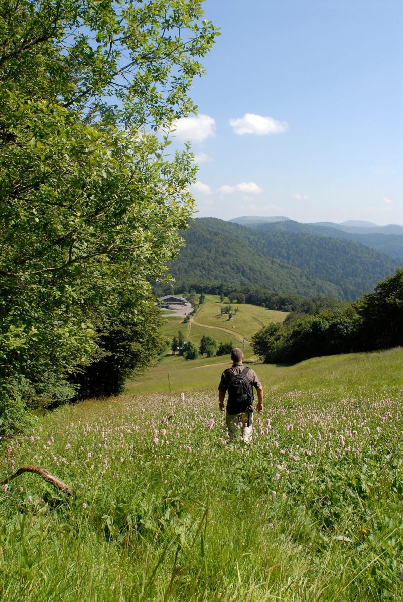 sentier du souvenir