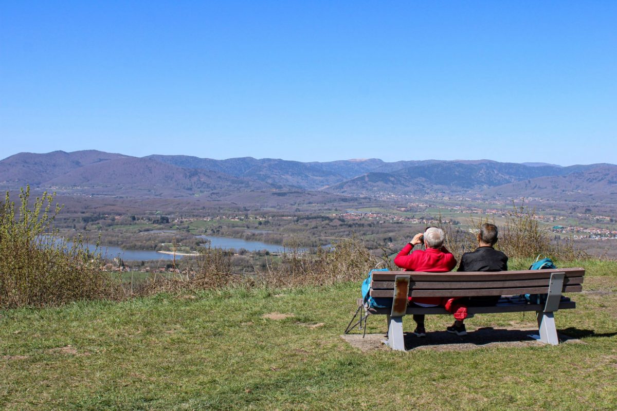 panorama-malsaucy-salbert