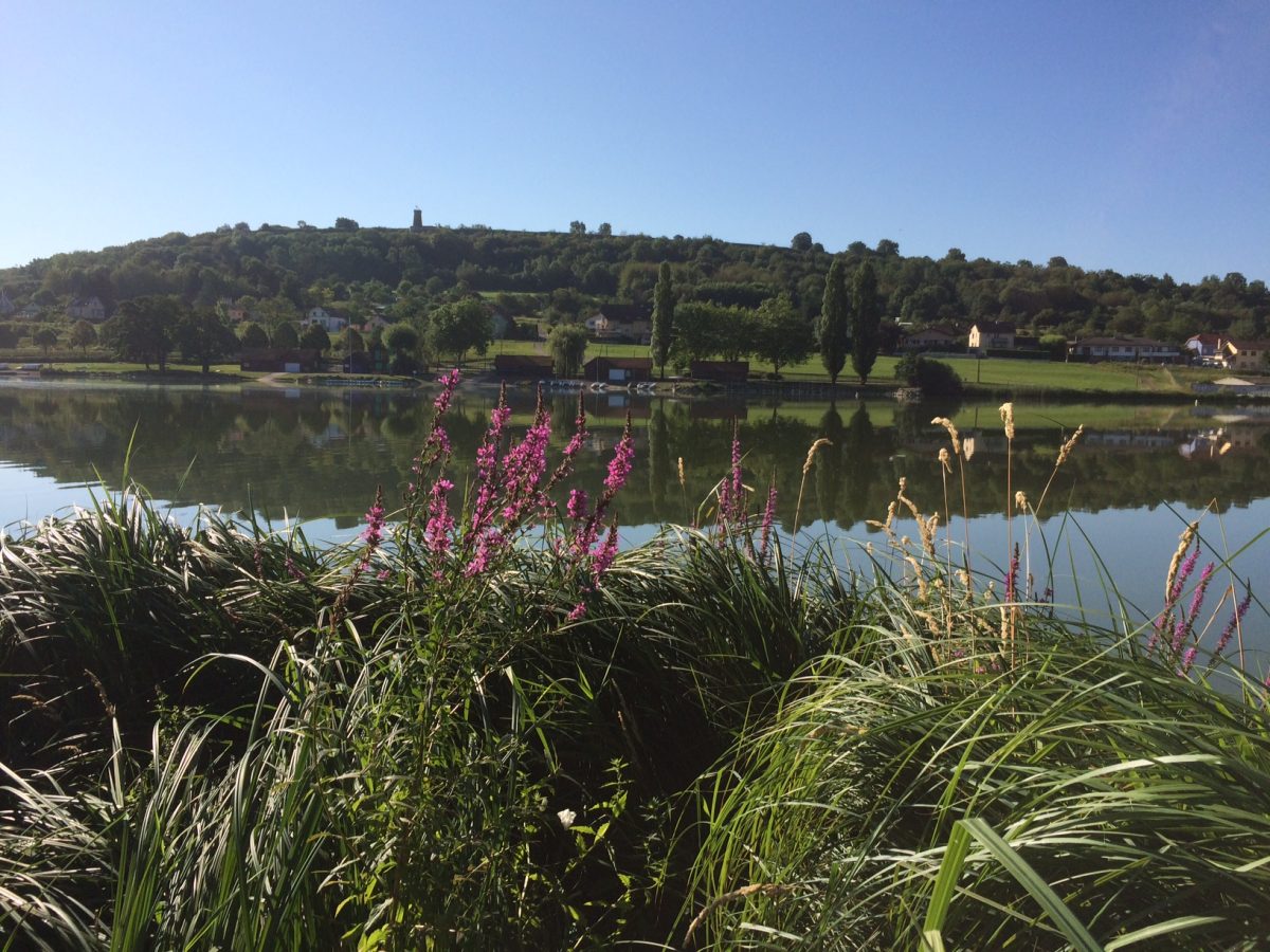 CAMPING DE L’ETANG DES FORGES_6