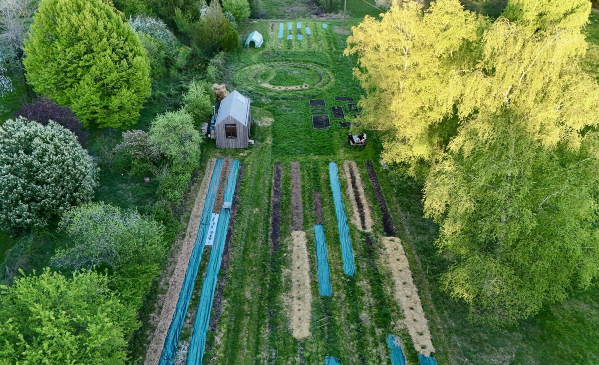 DJI_20250419194350_0032_D