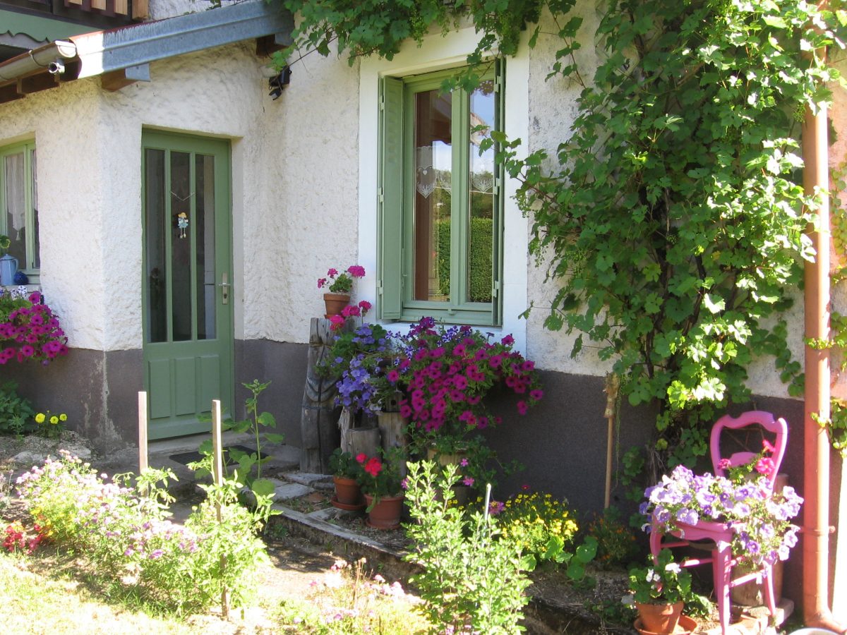 Gîte fleuris 2014 006