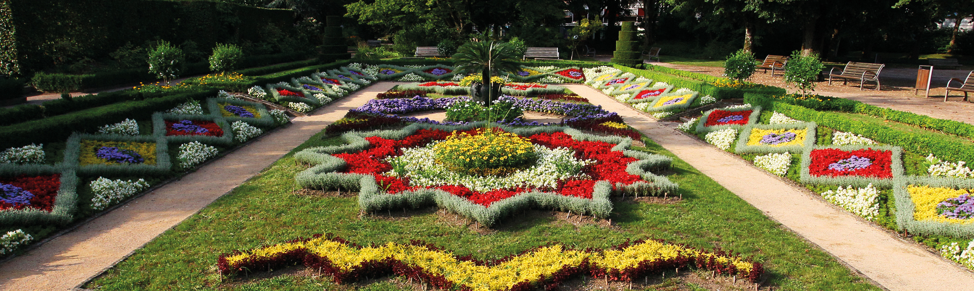 Parterre de fleurs colorées