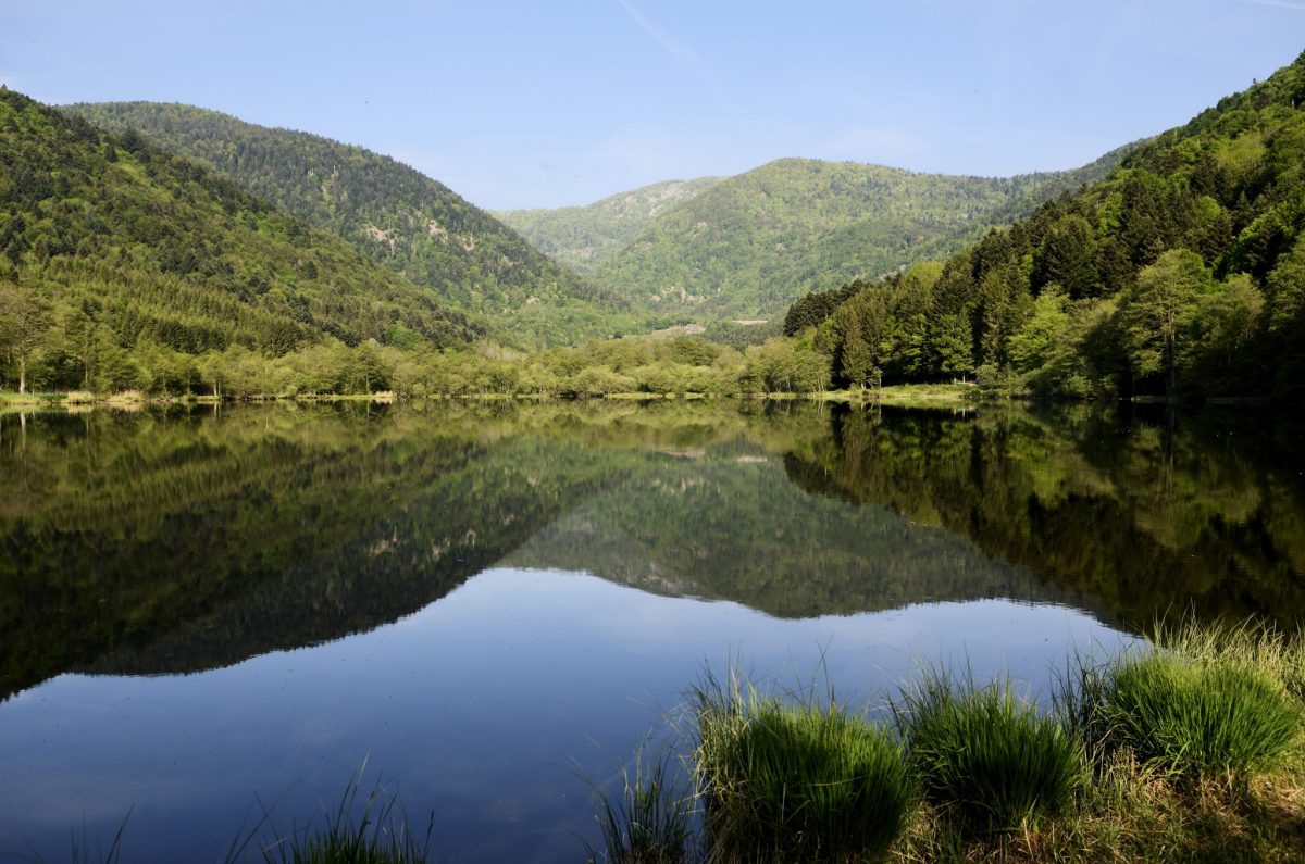 Massif des Vosges