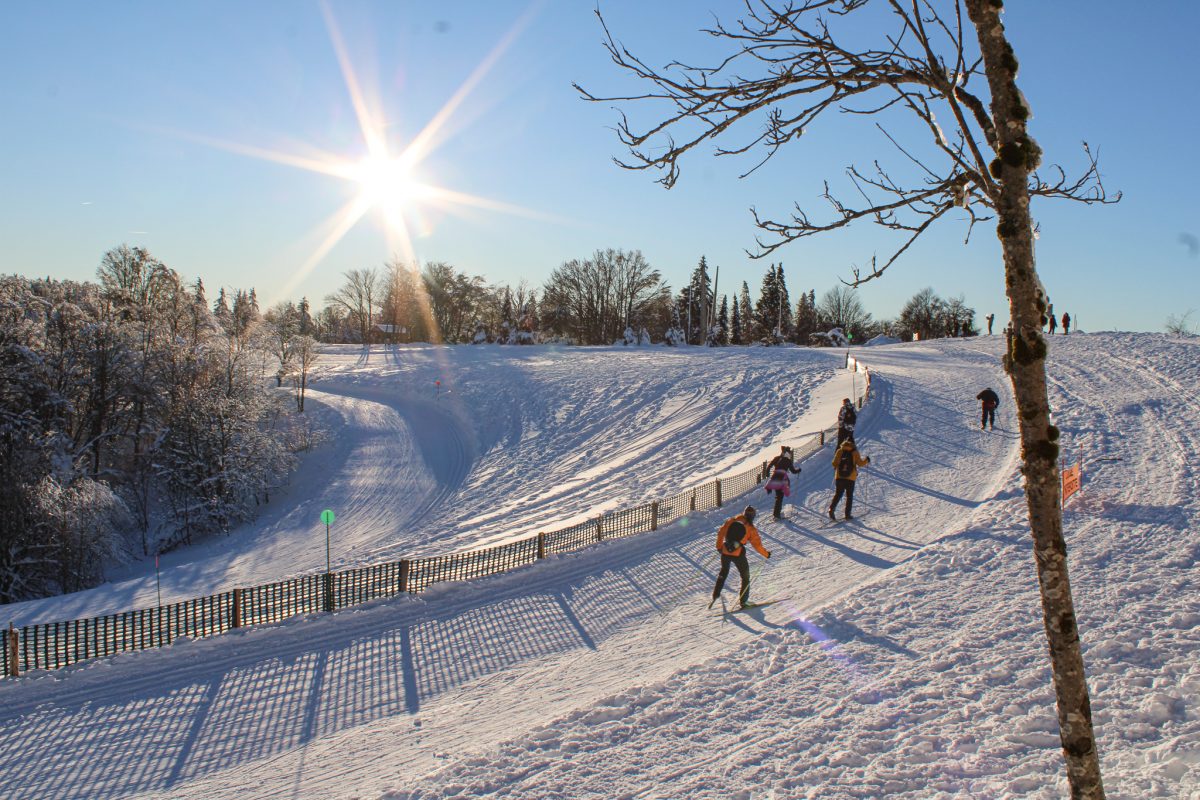 ski nordique Ballon d'Alsace