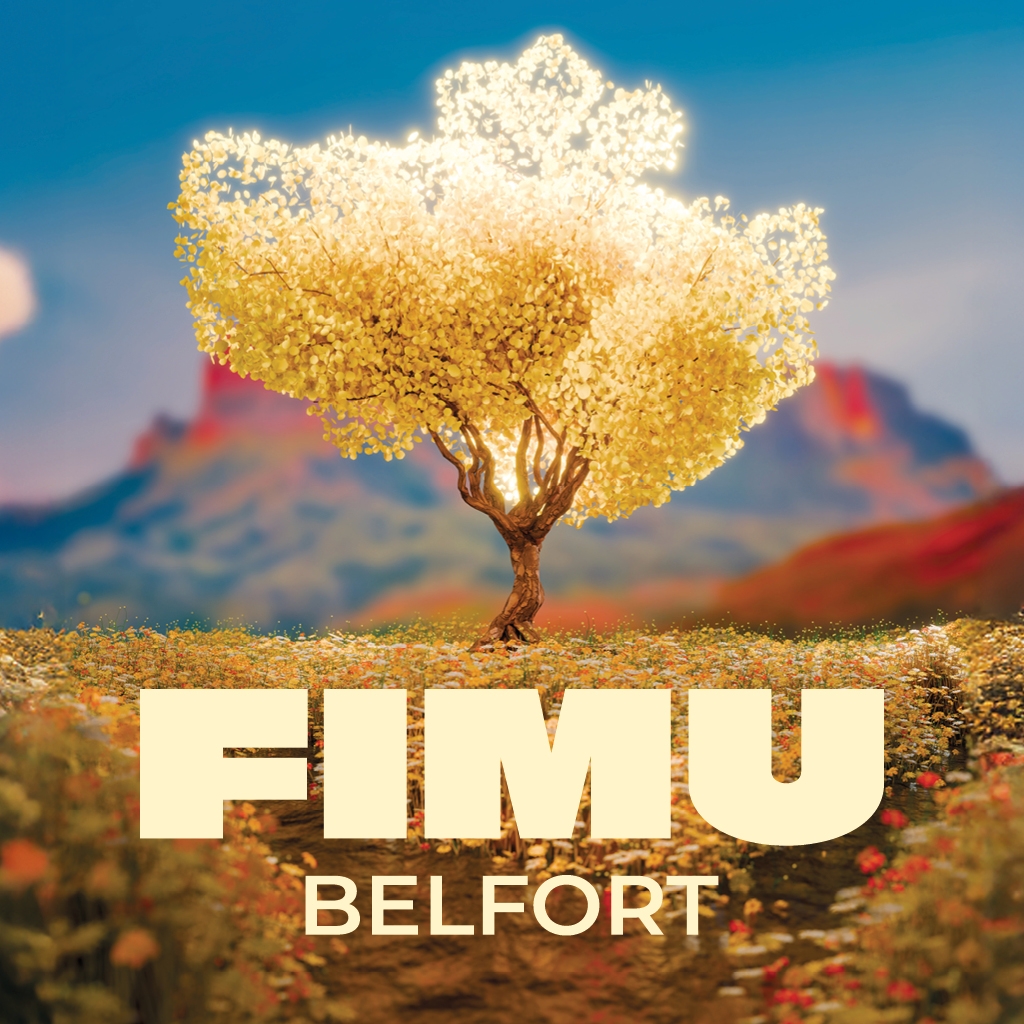FIMU