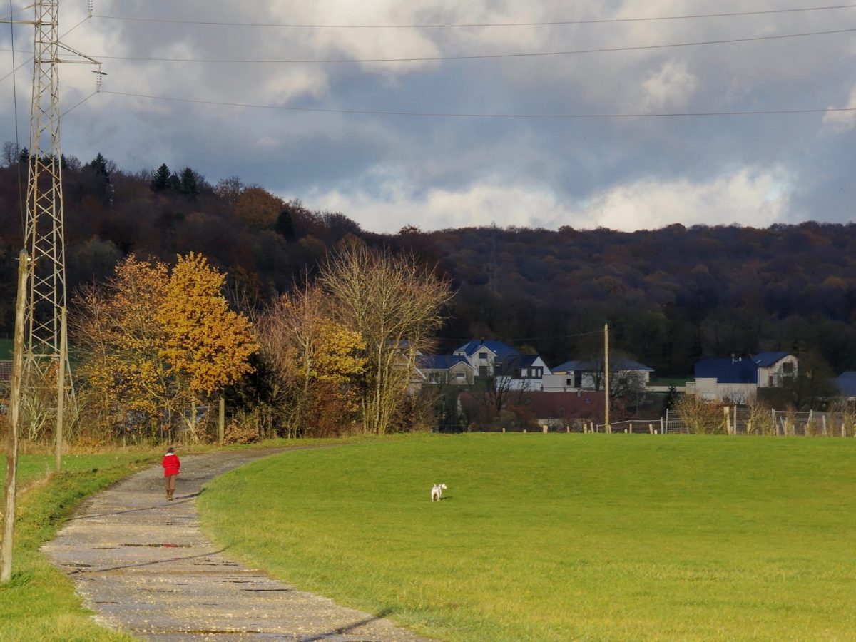 Promener le chien sur le chemin du Tremblet en sortant du gîte