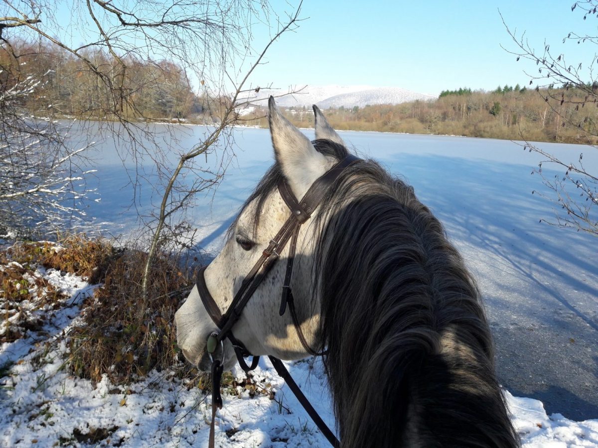 MALSAUCY EN HIVER