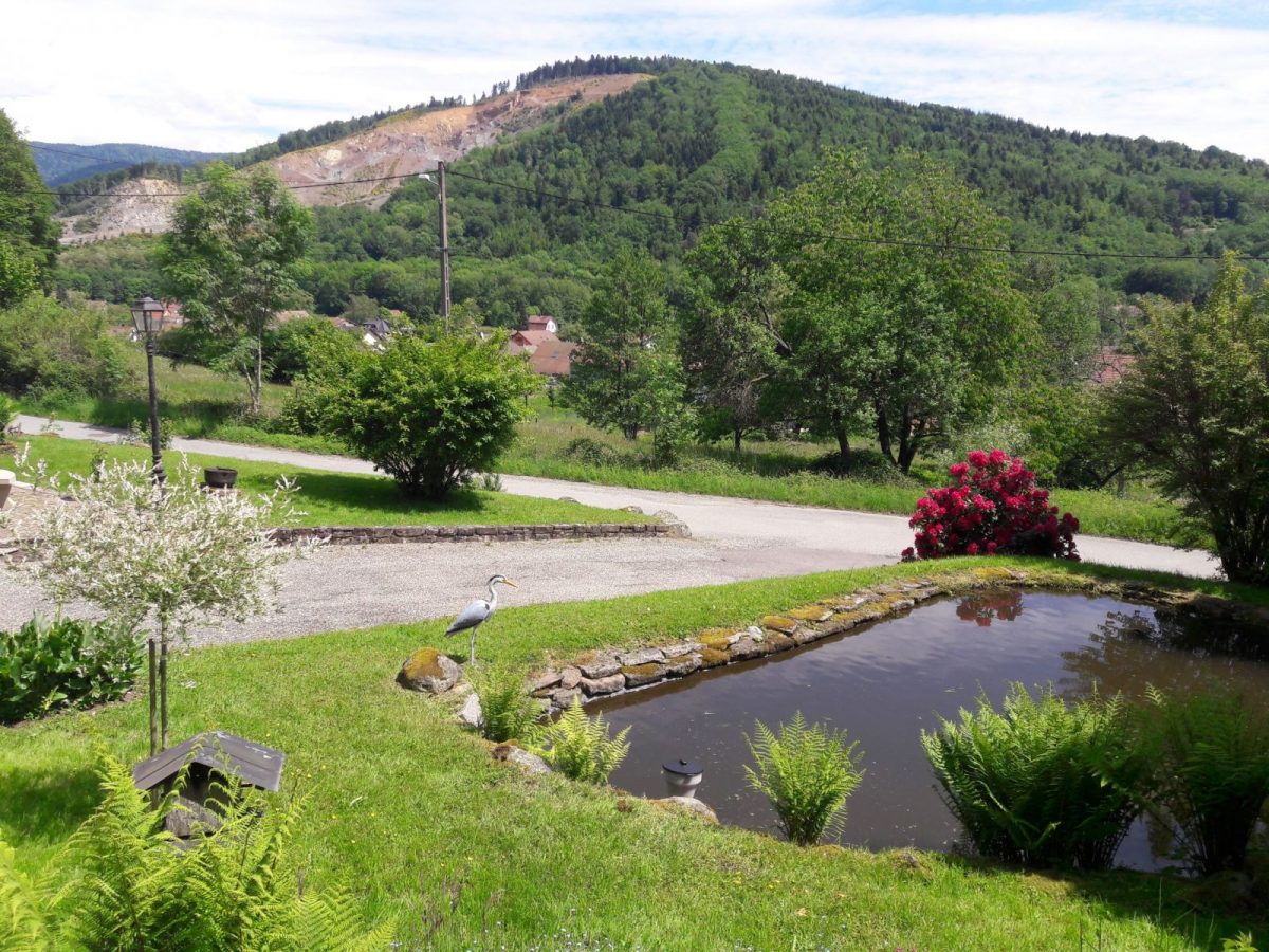 vue-sur-vosges