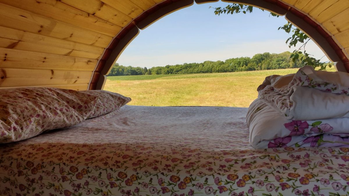 Intérieur tonneau,vue sur forêt, et les VOSGES
