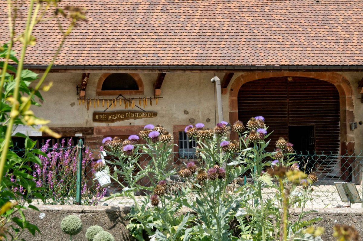2023musée