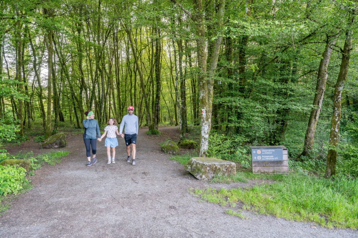 2024-belfort-malsaucy-printemps-picnic-chill-lac-velo-obervation-oiseaux-famille