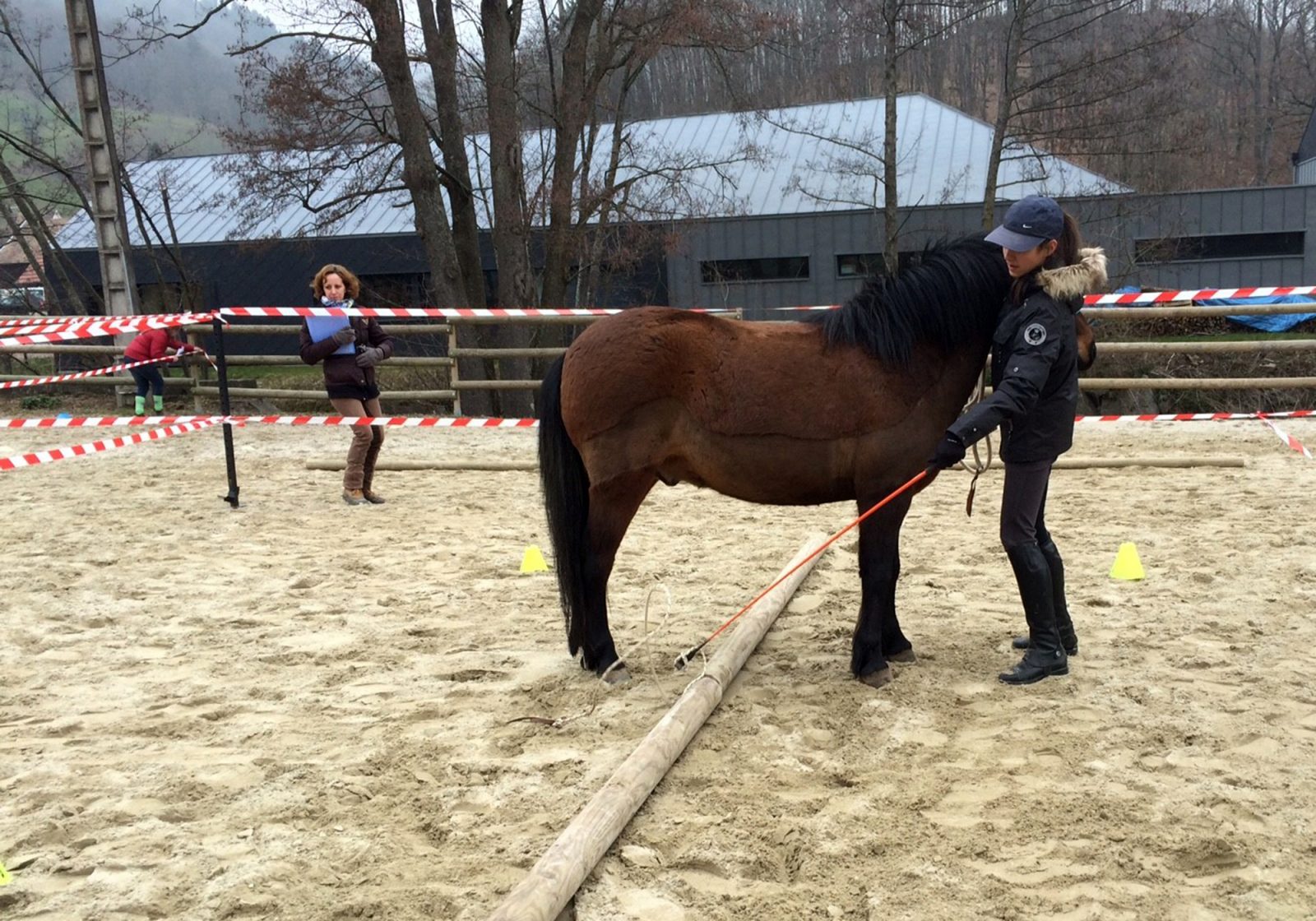 L'écurie des p'tits bouts – Poney club aux portes de Belfort, l