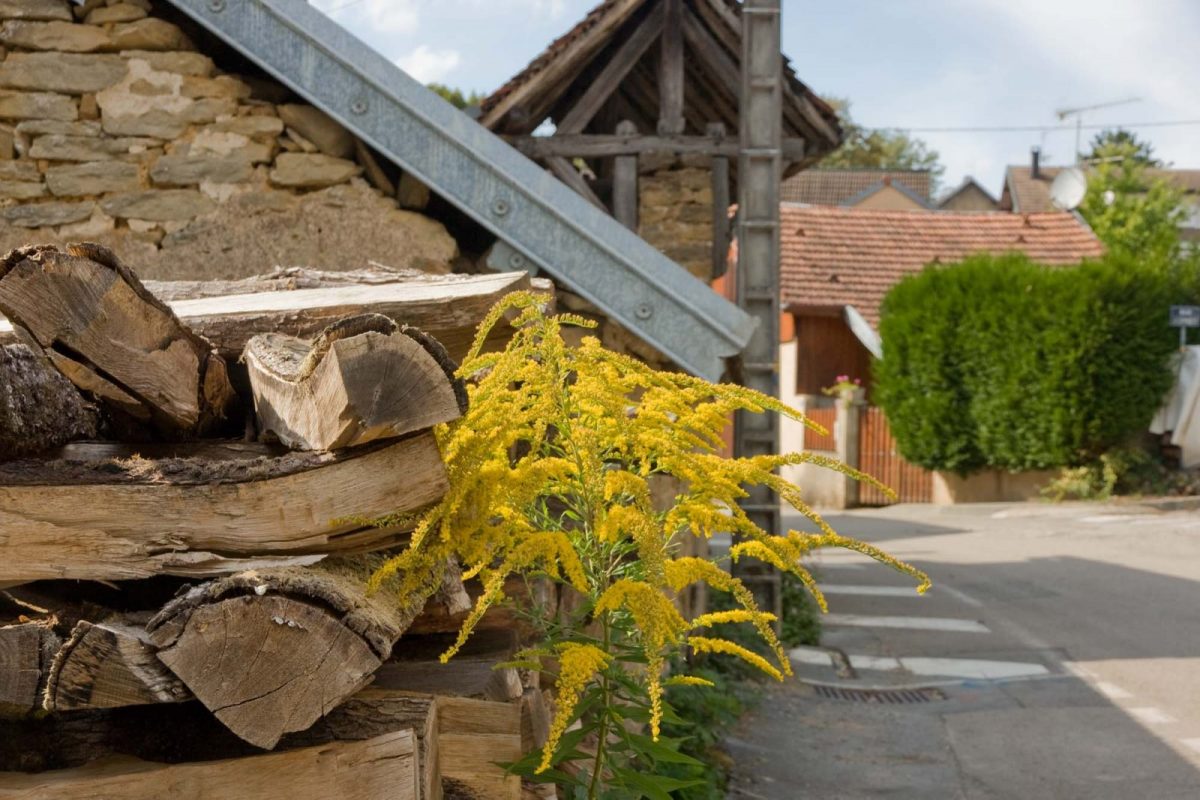 ASSOCIATION FRANC-COMTOISE DU CHEMIN DE COMPOSTELLE_2