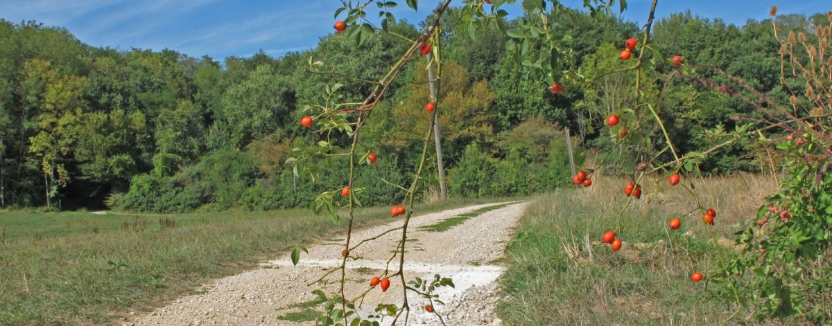 ASSOCIATION FRANC-COMTOISE DU CHEMIN DE COMPOSTELLE_3