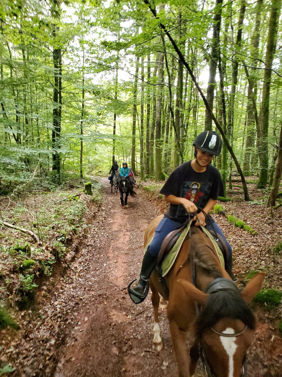 BOIS DE LACHAPELLE