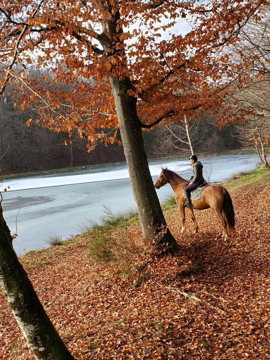 CARPODROME LACHAPELLE