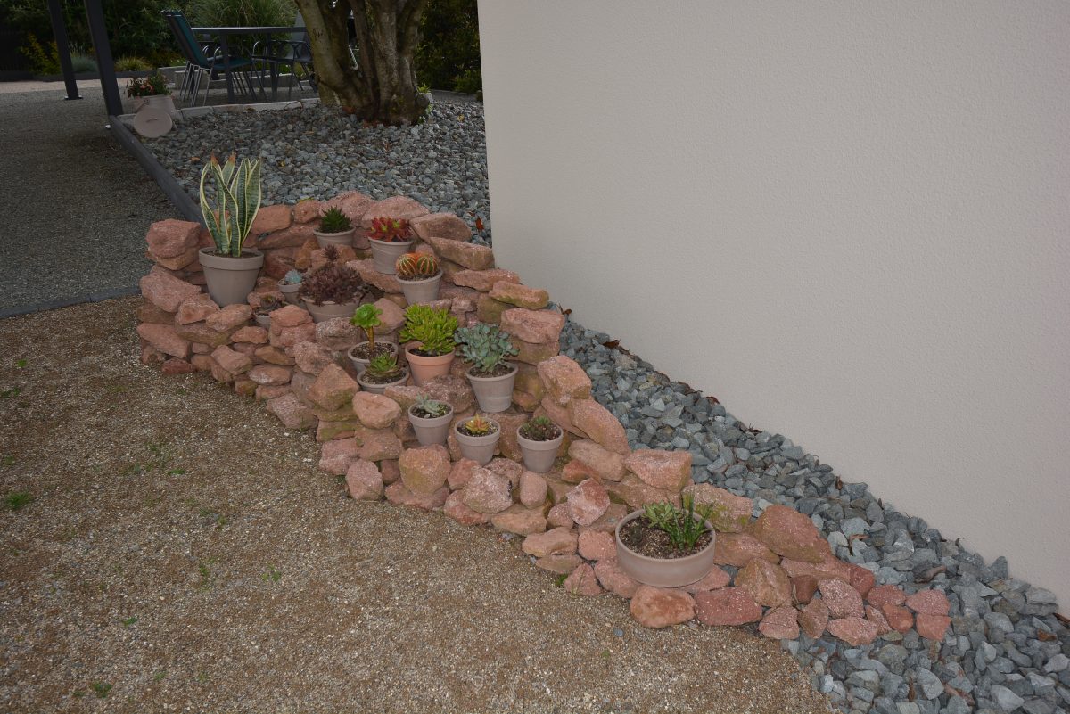 Massif de succulentes