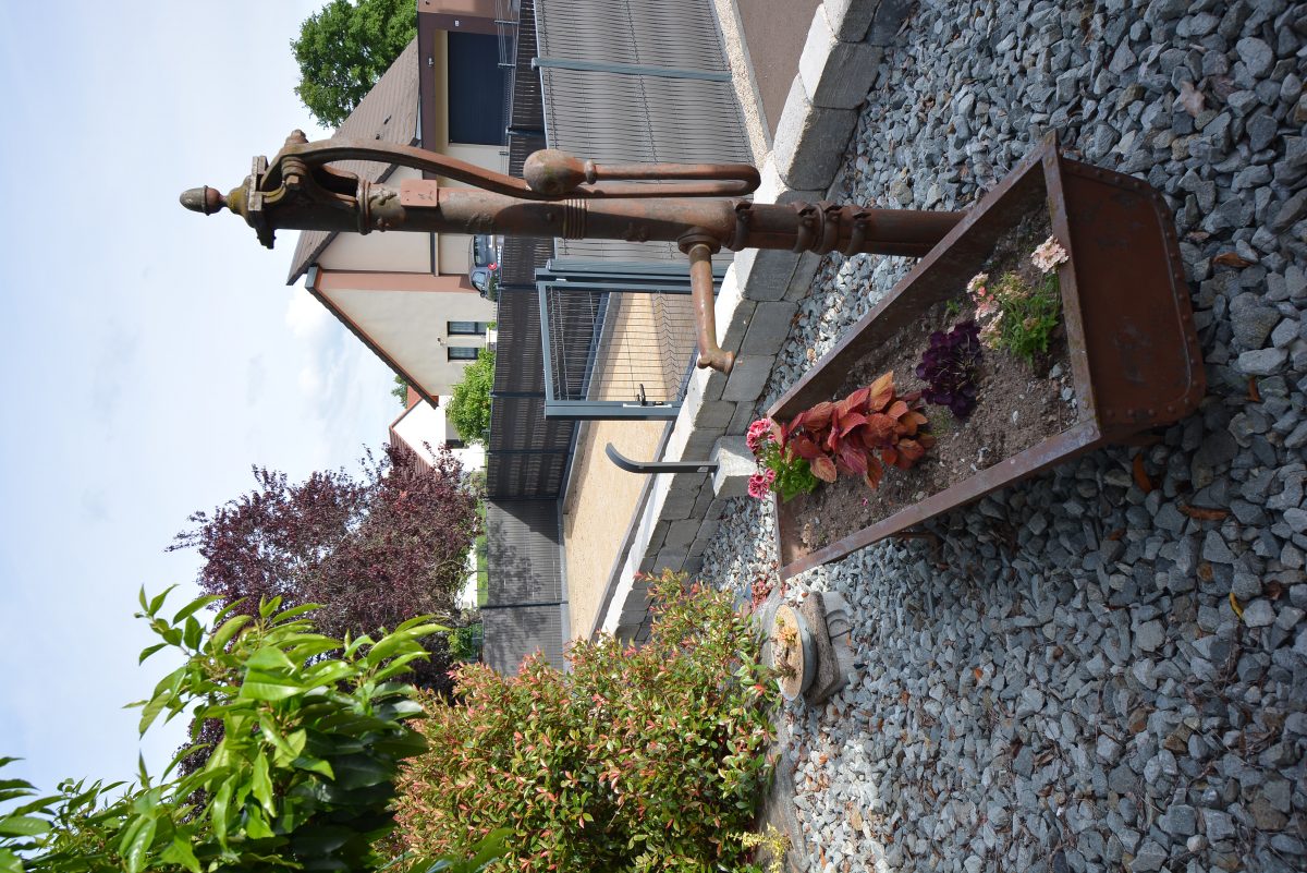 Abreuvoir fleuri