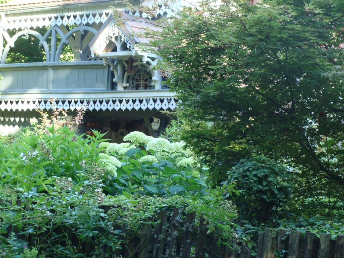 Dentelles et hydrangea Annabelle_16