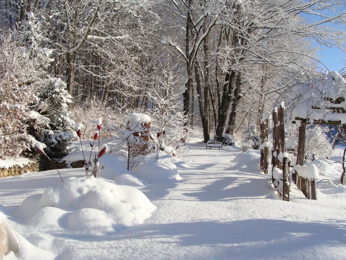 Le jardin sous la neige_17