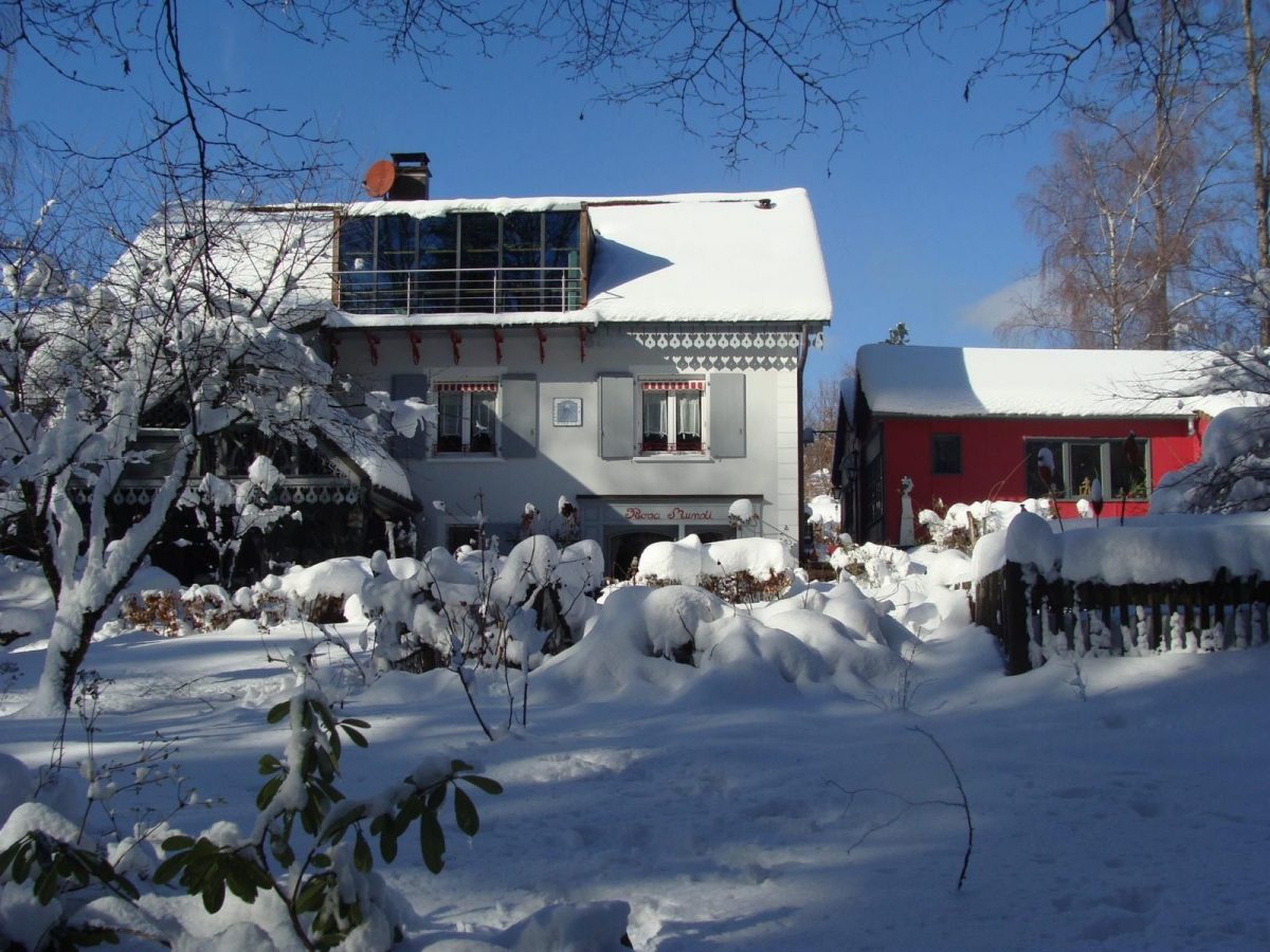 février 2019 la maison vue du jardin_22