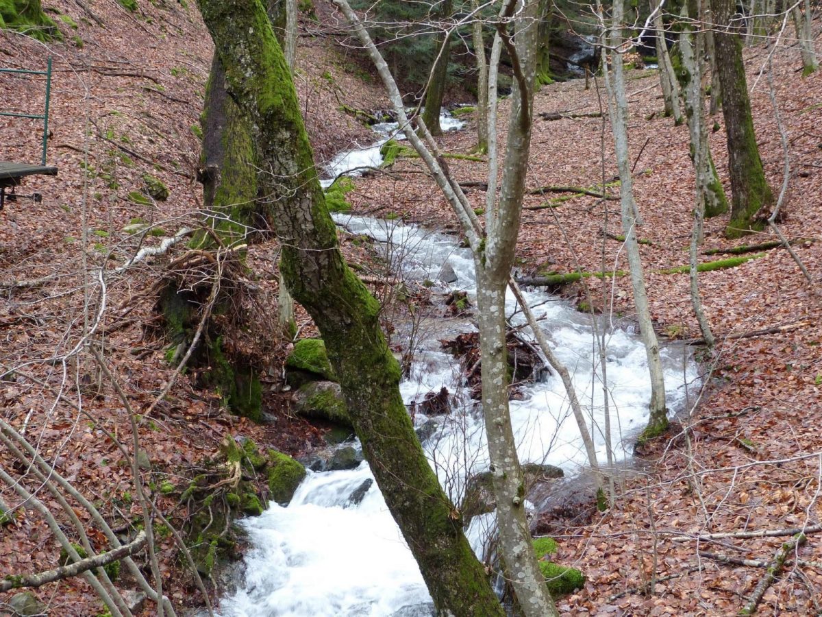 Ruisseau des graviers_18