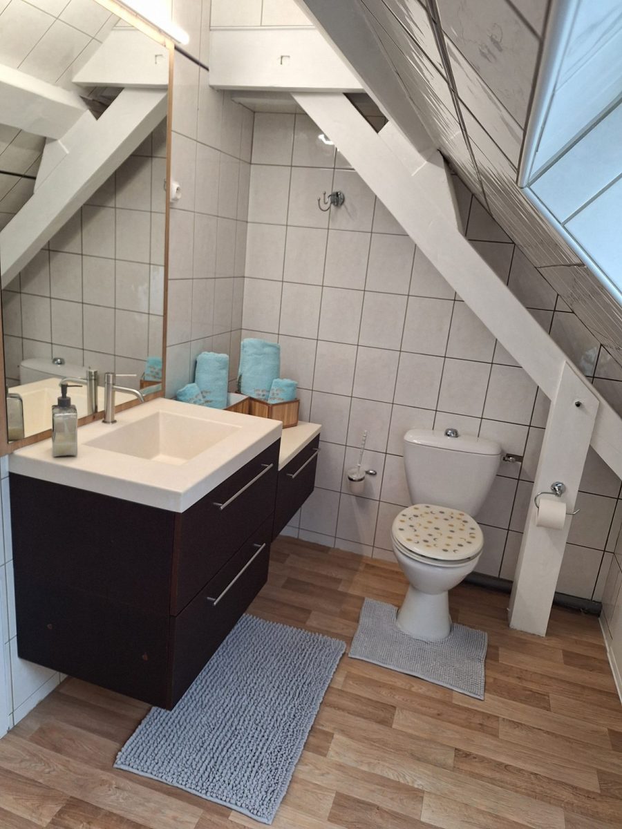Salle de bain,  WC_31