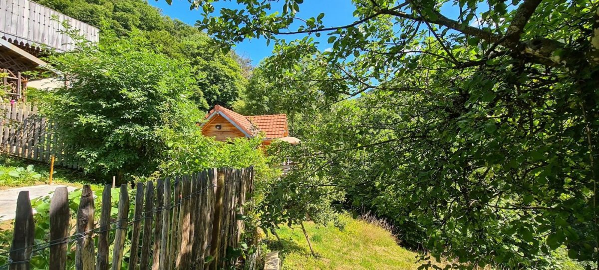 La cabane depuis le jardin_15