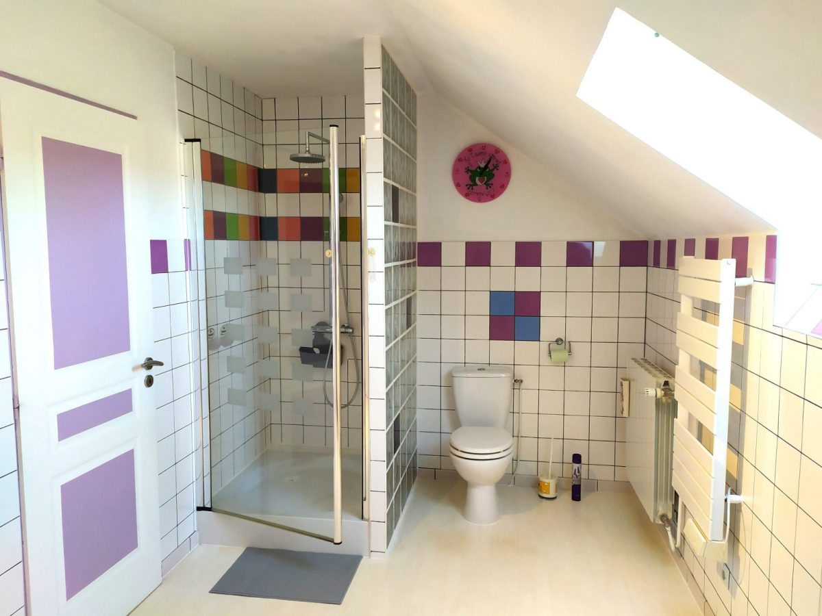 Salle de bain avec douche et  WC_8