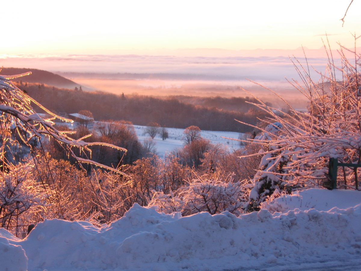 Paysage hivernal