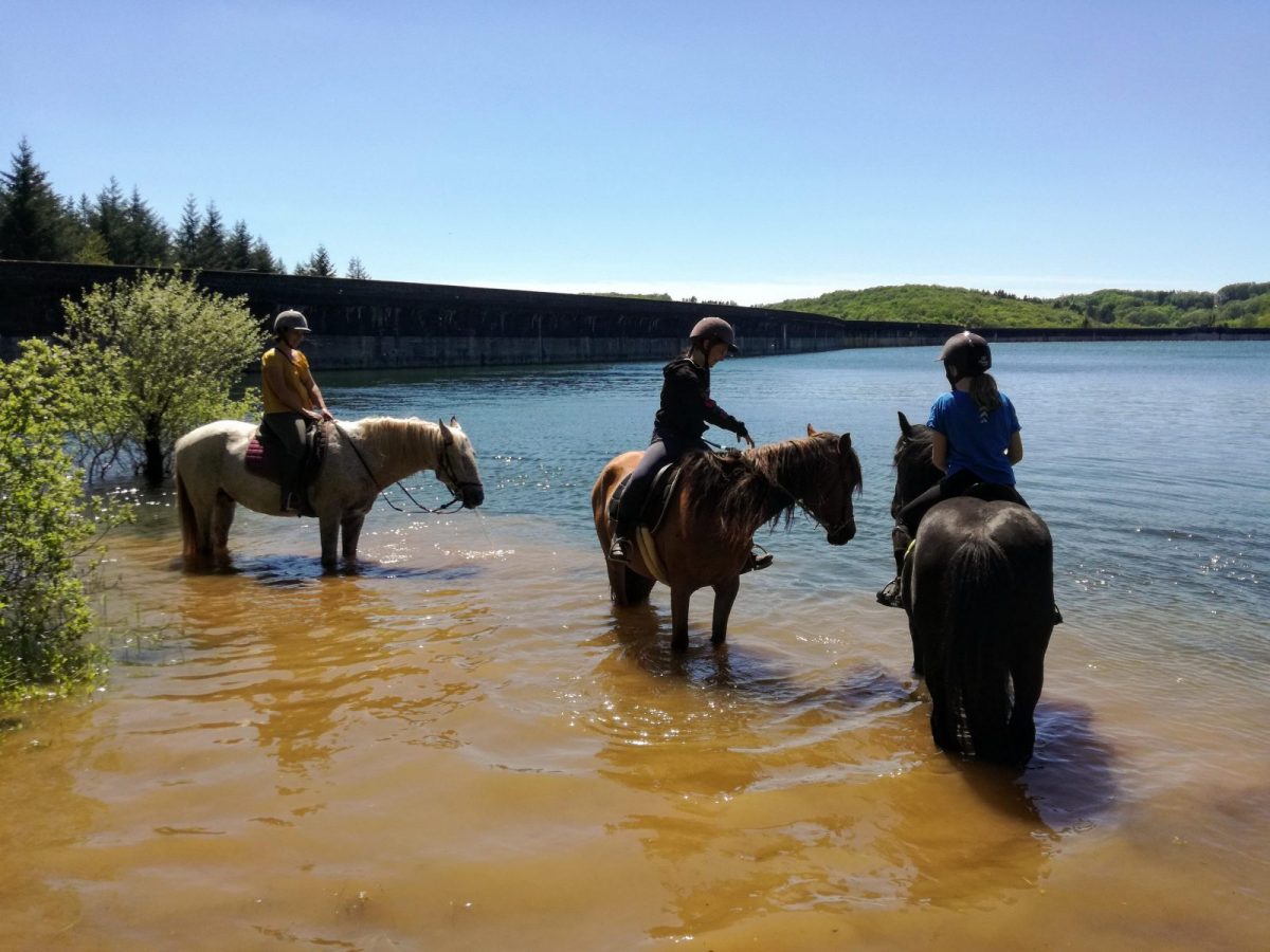 BASSIN DE CHAMPAGNEY