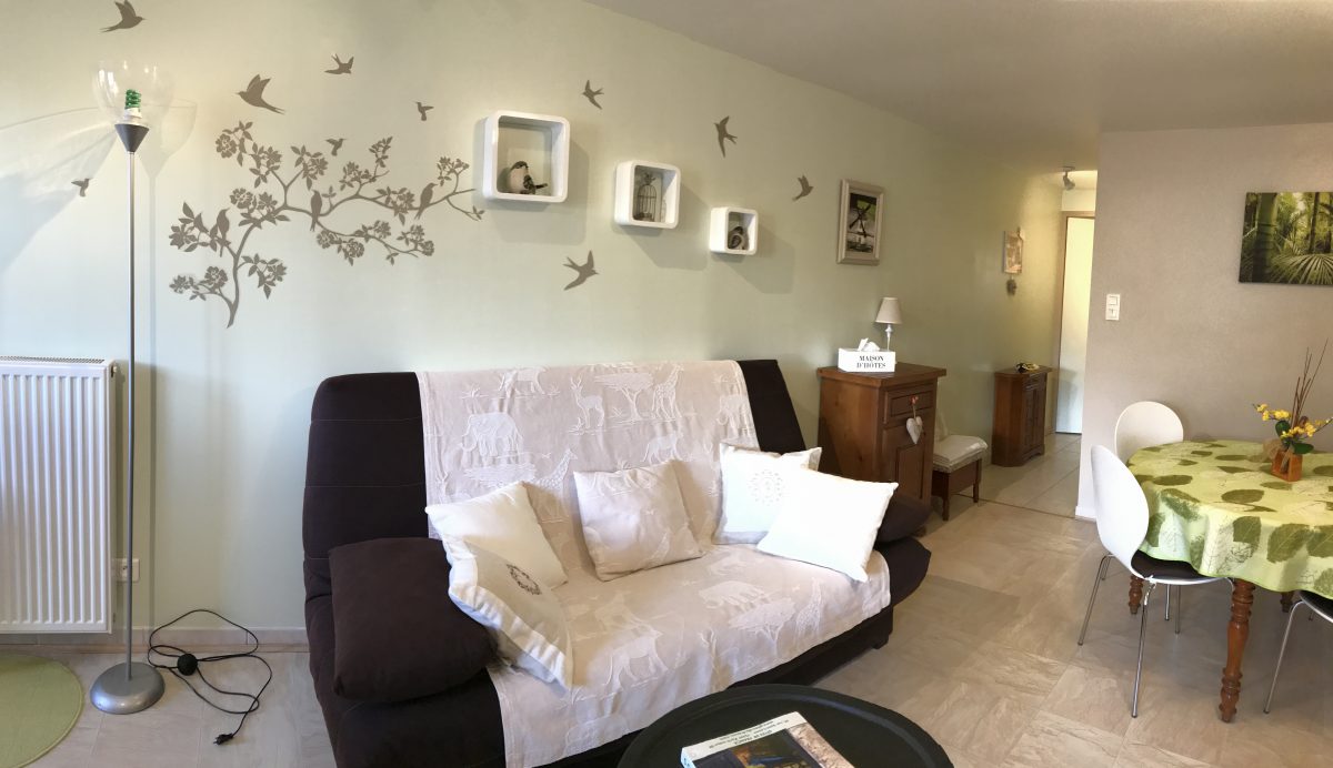 Salon séjour