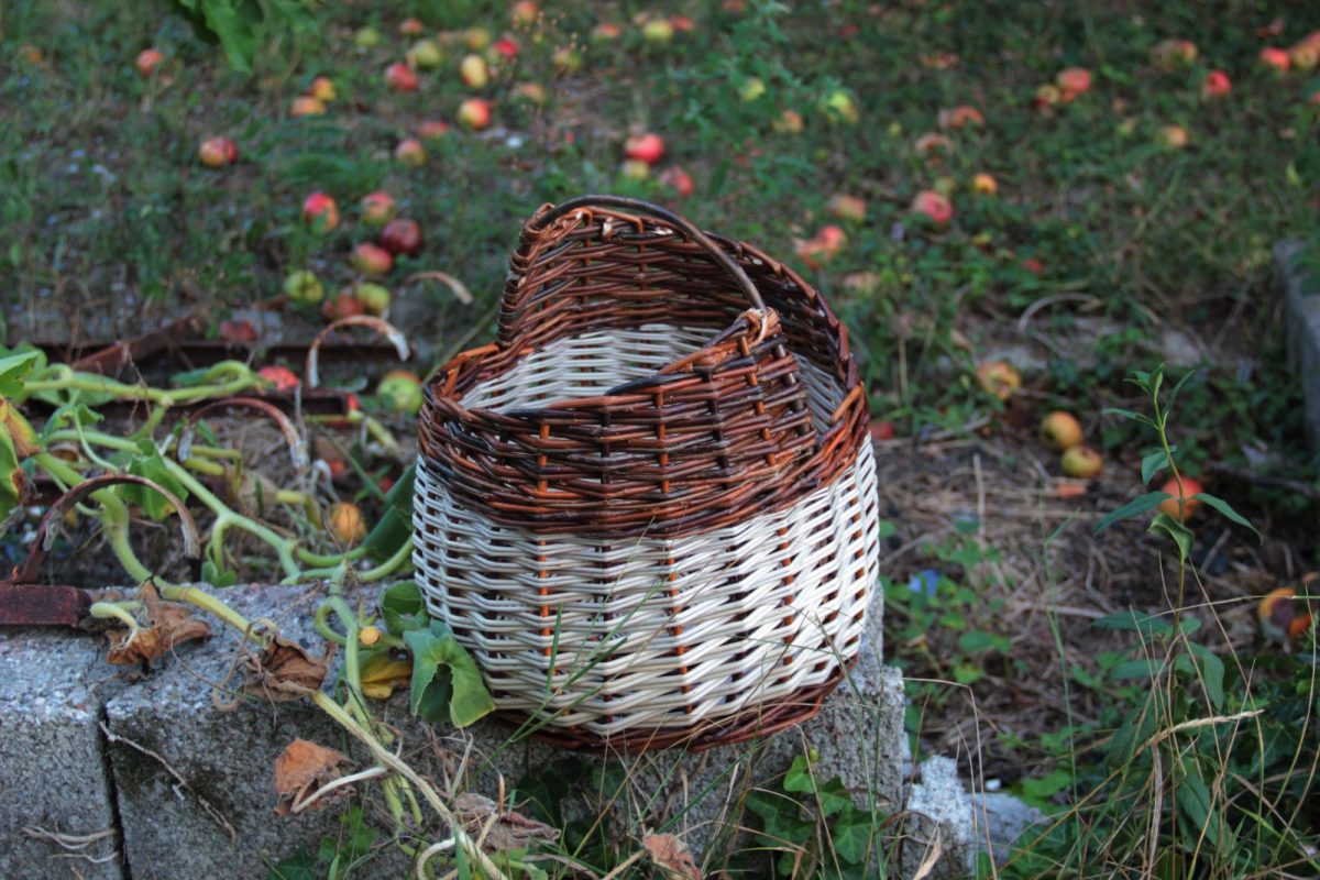 Panier