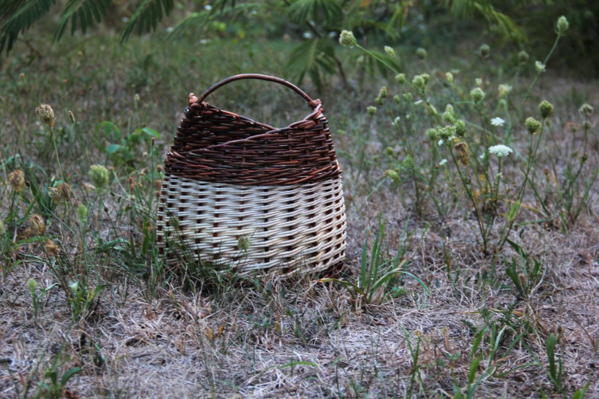 Panier