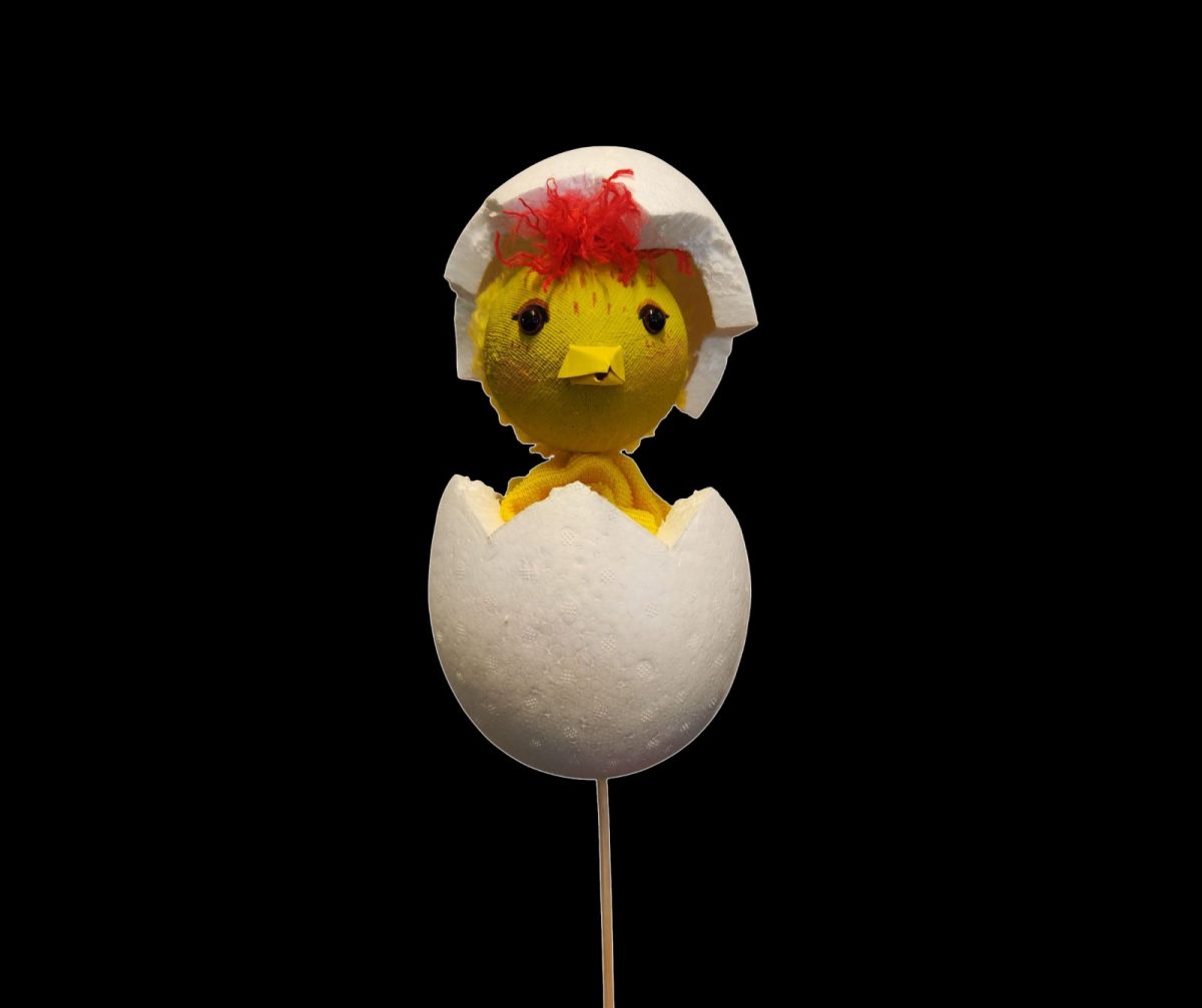 Marion.-Oeuf