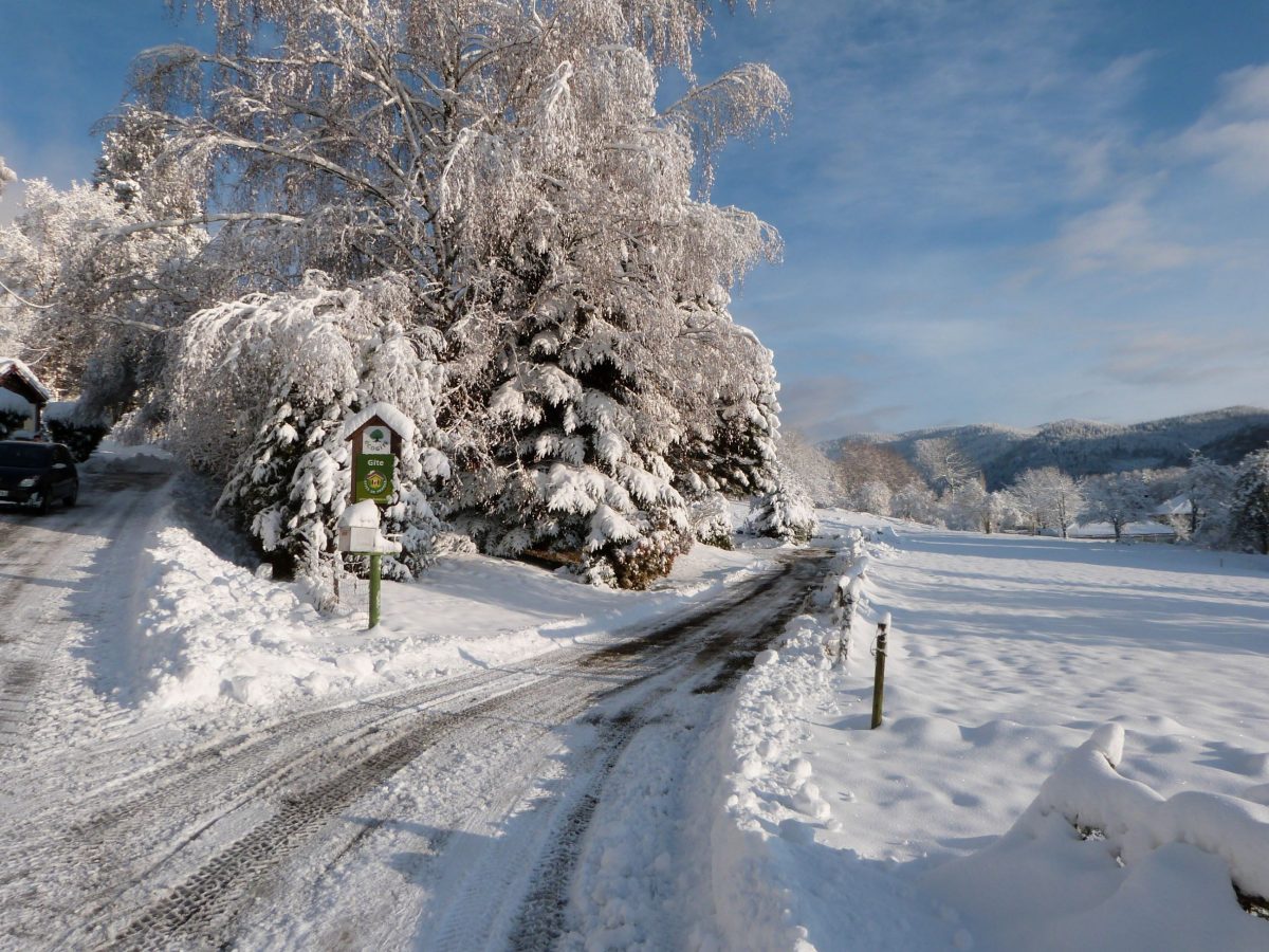 NEIGE 2