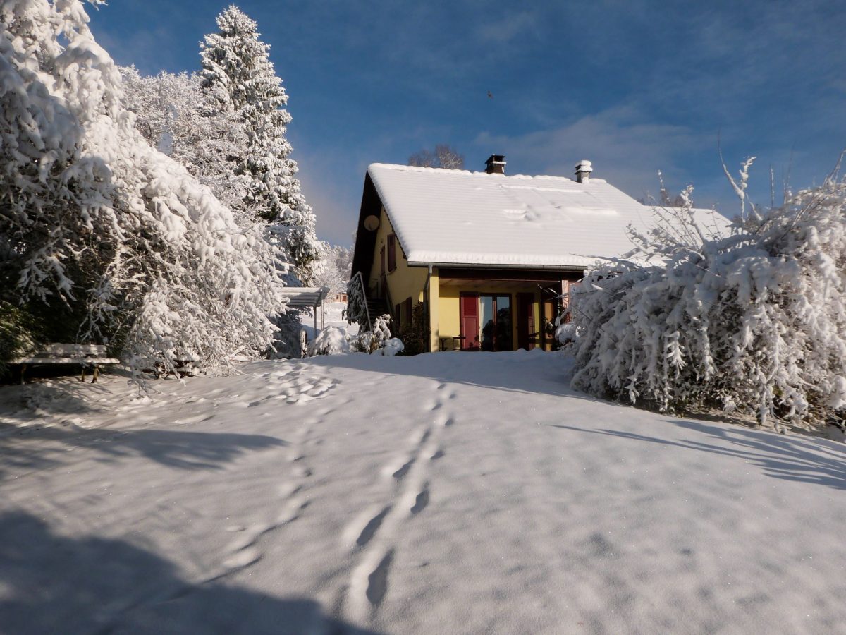 NEIGE 1