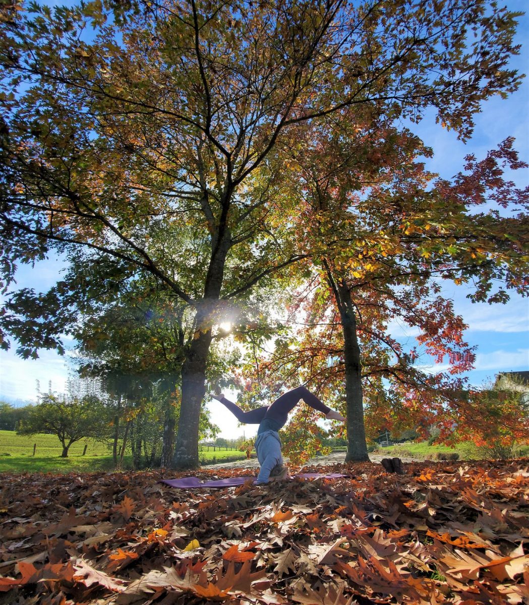 Vrksasana (posture sur la tête)