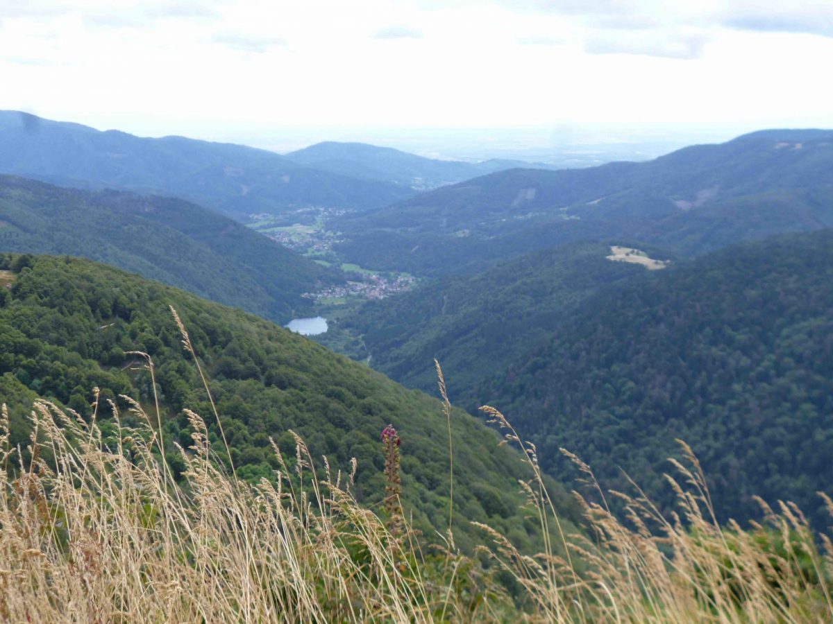 Vue depuis le Ballon d’Alsace