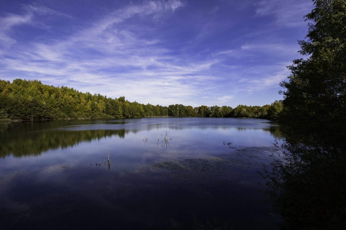 etang-marniere