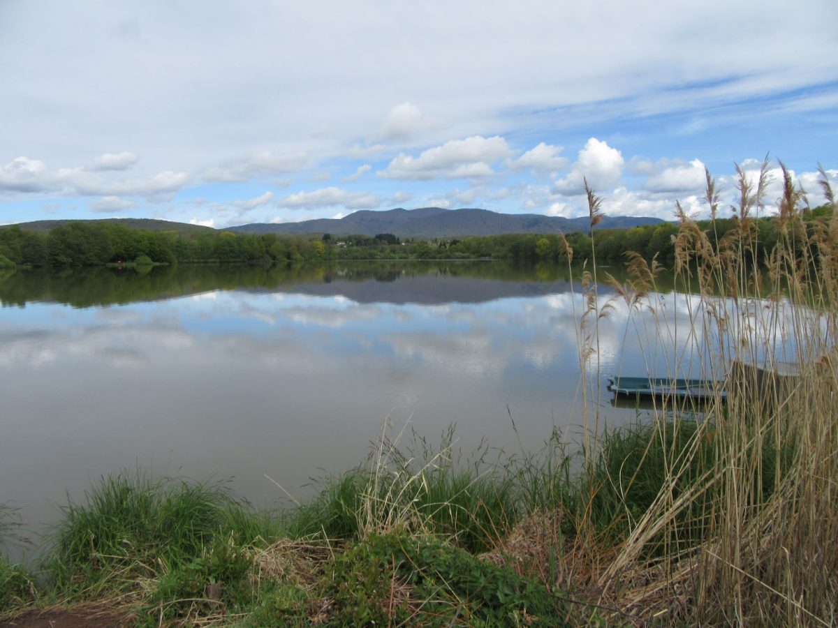 lac-malsaucy